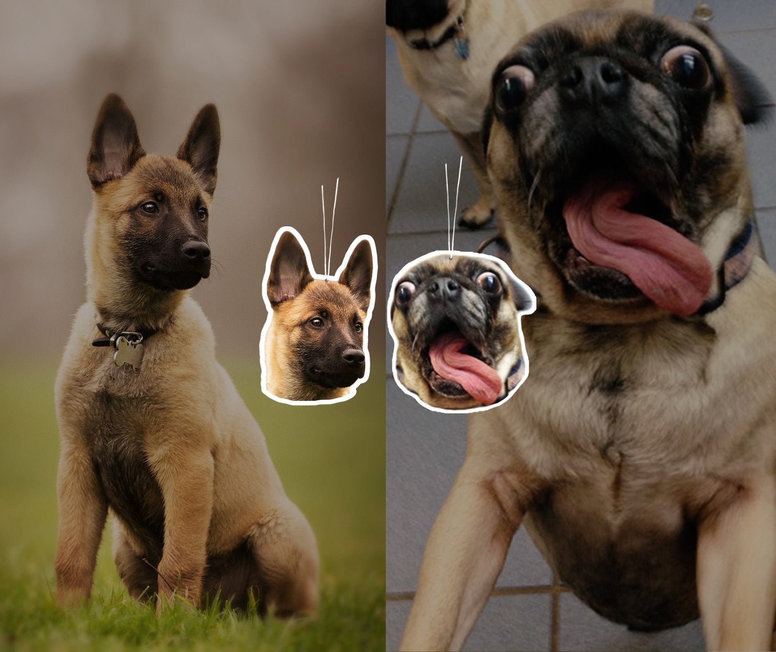 Custom Photo Car Pet Hanger